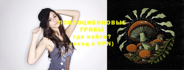 прущая мука Лабытнанги